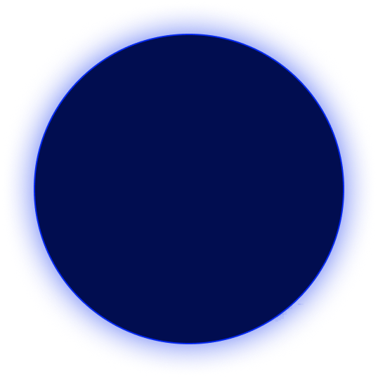 man holding a bitcoin